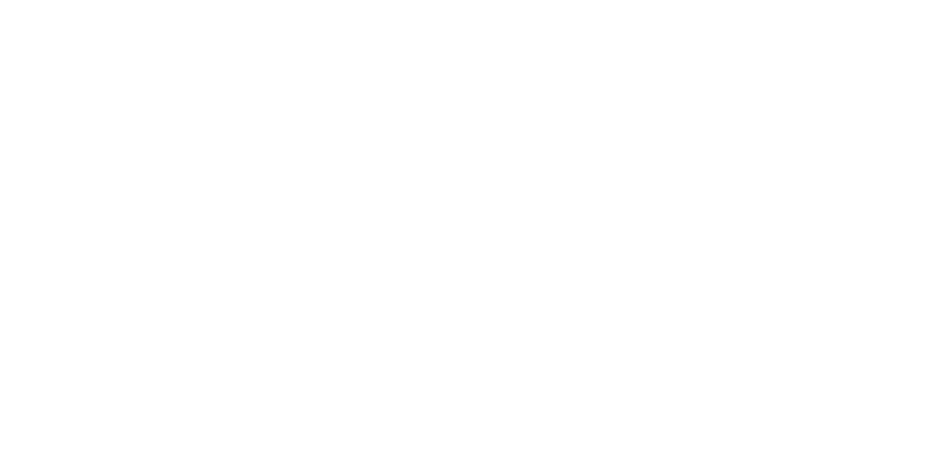 Logo Pegasus Select